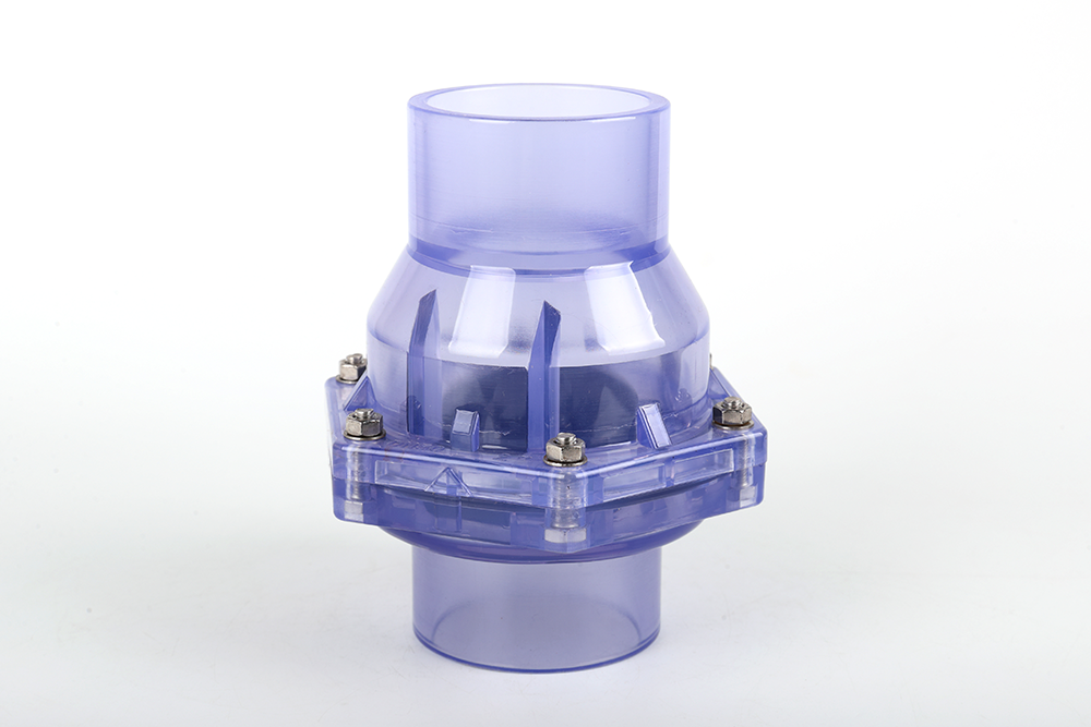 泌阳透明翻板式止回阀